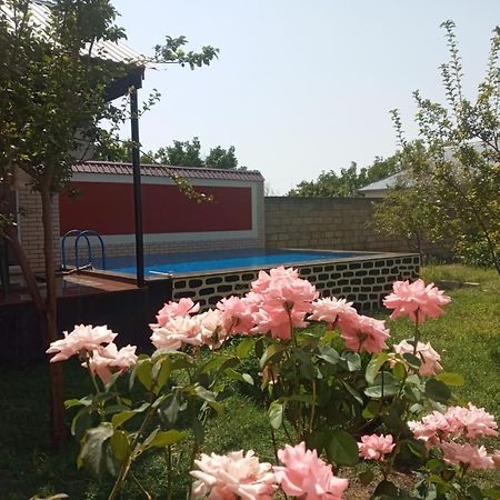 Villa Vilish กาบาลา ภายนอก รูปภาพ